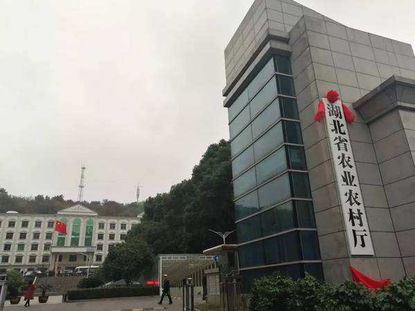 品牌設計的春天：湖北省農產品品牌三年培育方案